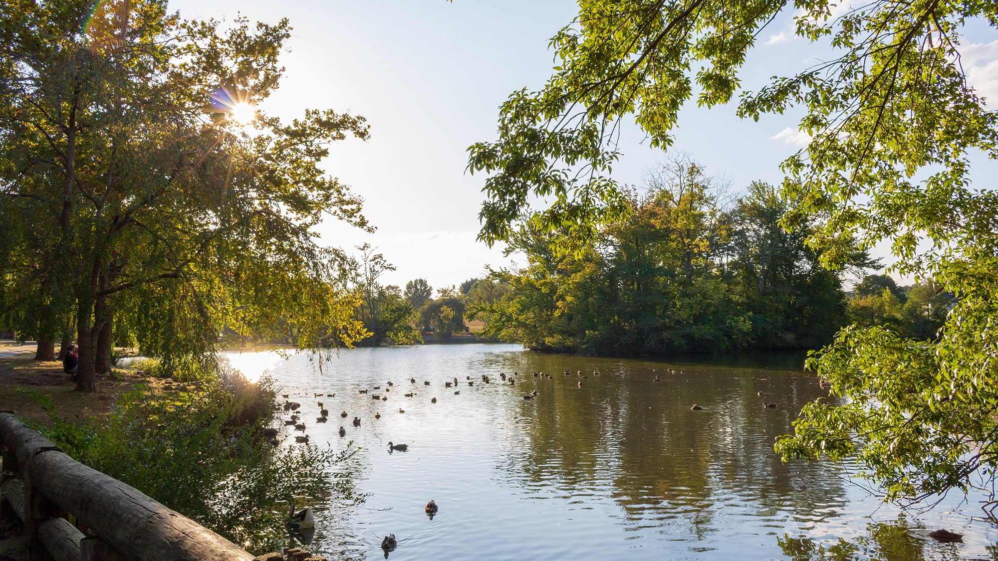 Duck pond at afternoon. Phot Credit: Daniel Slutsky