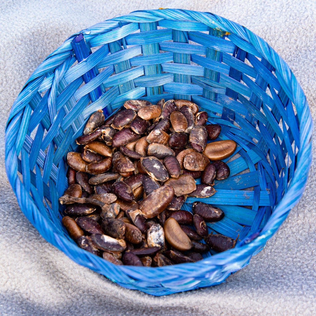 Pawpaw Seeds
